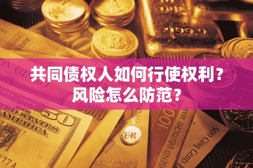 北京共同债权人如何行使权利？风险怎么防范？