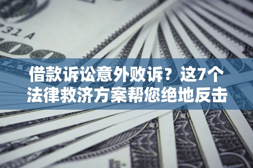北京借款诉讼意外败诉？这7个法律救济方案帮您绝地反击！