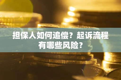 北京担保人如何追偿？起诉流程有哪些风险？