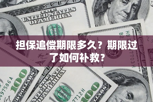 北京担保追偿期限多久？期限过了如何补救？